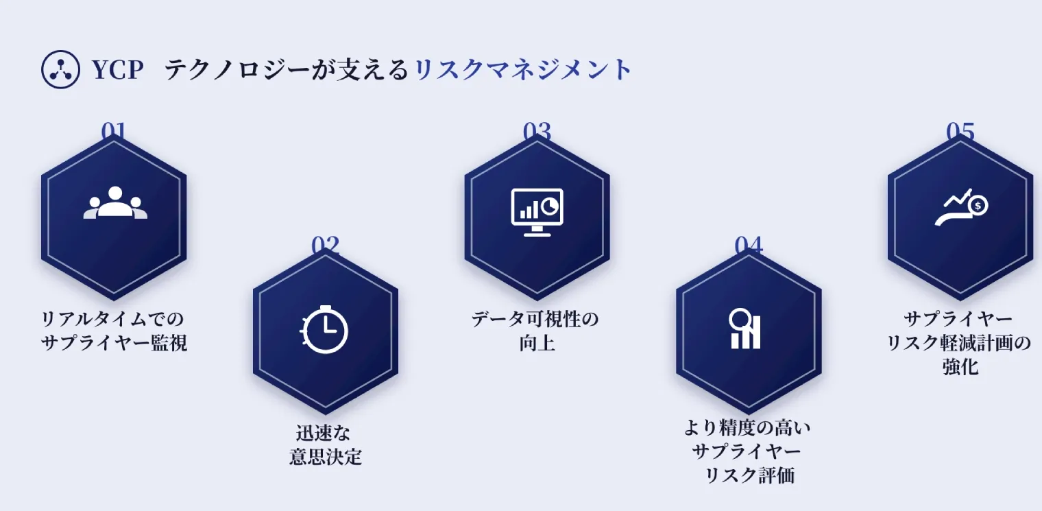 Invisible Risk JP.webp
